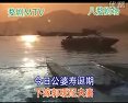 一对紫燕双双飞-伴奏
