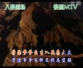 婺剧《望东方有座大山叫井冈-伴奏》下载,婺剧经典剧目,感受红色文化魅力。 婺剧《望东方有座大山叫井冈-伴奏》下载,婺剧经典剧目,感受红色文化魅力。