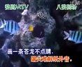 婺剧《借丹青抒我满怀愤-伴奏》全集下载,婺剧经典剧目,感受传统戏曲魅力。 婺剧《借丹青抒我满怀愤-伴奏》全集下载,婺剧经典剧目,感受传统戏曲魅力。