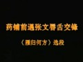 雁归何方选段-张爱华