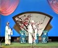 丝弦戏曲《空印盒 私访》全集下载 - 张鹤林主演高清版