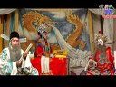 南路丝弦《忠保国》全集 - 经典戏曲下载