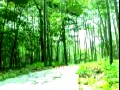 闽剧《闯王情序幕》全集下载 - 经典戏曲在线观看与下载平台