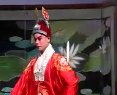 河北梆子《夜宿花亭》全集 - 许荷英主演经典剧目剧情介绍及下载