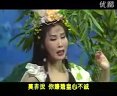 河北梆子《尧天舜日》全集下载 - 经典戏曲剧目在线观看下载