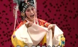 赣剧《龙凤配》全集下载 - 经典戏曲在线观看与下载平台下载