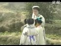 庐剧经典剧目《小寡妇上坟》，讲述寡妇清明扫墓故事，情感真挚动人！