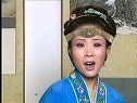 庐剧八世夫妻