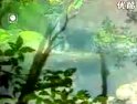 广东汉剧《棋逢对手》选段 - 经典戏曲下载