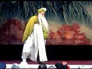 上党落子《司马庄》剧情介绍、演员阵容及剧种解析 - 戏曲下载网