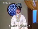 四平调《望江亭》- 王婉华主演,剧情简介及下载资源 四平调《望江亭》- 王婉华主演,剧情简介及下载资源