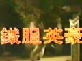 歌仔戏《铁胆英豪》 李如麟主演，精彩剧情不容错过！下载
