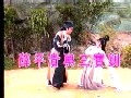 歌仔戏薛平贵与王宝钏