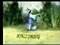 歌仔戏西厢记-叶青 - 经典戏曲下载