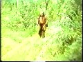 歌仔戏《铁汉金鹰》- 杨丽花主演经典戏曲下载 - 高清音质MP3格式下载