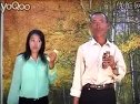 二人台之怀娃娃 - 经典二人台剧目，讲述农村青年爱情故事