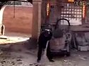 二人台光棍与寡妇