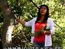 李红梅山曲二人台精品专辑 - 经典二人台音乐欣赏