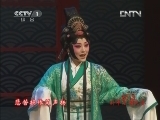 曲剧《泪洒相思地》-经典戏曲下载，感受悲欢离合的情感纠葛下载