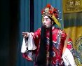 川剧《竹影摇红》全集下载 - 高清版 | 陈巧茹主演下载