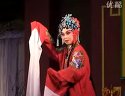 胡琴十二寡妇征西