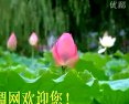 越调王二姐思夫选段-李玉花 戏曲下载 经典唱段 高清音质 越调王二姐思夫选段-李玉花 戏曲下载 经典唱段 高清音质