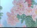 越调《舌战群儒》-申小梅主演经典剧目下载，含全场及片段资源下载