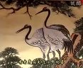 曲剧《一文钱害八命》- 经典剧目 - 田少华、林四妹主演 - 精彩剧情解析