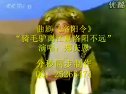 曲剧《徐策跑城》 精彩剧情，实力演员演绎，不容错过！下载