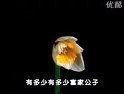 曲剧《铡赵王》-经典戏曲全本下载，感受包拯铁面无私的传奇故事下载