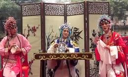 曲剧小寡妇开店