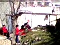 徐州柳琴白蛇传选段 - 经典戏曲片段欣赏 徐州柳琴白蛇传选段 - 经典戏曲片段欣赏