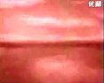 黄梅戏空守云房-严凤英主演经典戏曲下载下载