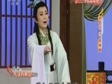 黄梅戏桃李无言全集