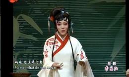 黄梅戏《六尺巷》精彩选场_CCTV空中剧院2016高清版_韩再芬主演下载