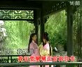 黄梅戏《我就是个多愁多病的身》- 经典折子戏下载 - 崔莺莺张生爱情故事
