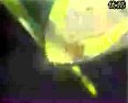 黄梅戏《彩云坪》全集高清下载 - 严凤英王少舫主演经典剧目下载