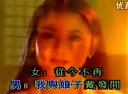 树上的鸟儿成双对