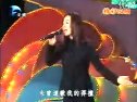 秋千架