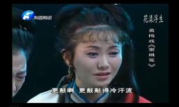 黄梅戏《窦娥冤》全剧下载 - 高清正版戏曲资源下载