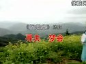 黄梅戏《寻夫·梦会孟姜女》全集下载 - 韩再芬主演经典剧目高清版下载