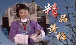 黄梅戏《双合镜》全集高清下载-经典黄梅戏剧目完整版在线观看 黄梅戏《双合镜》全集高清下载-经典黄梅戏剧目完整版在线观看