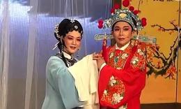 高清黄梅戏柳凤英全剧