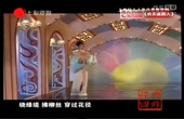 二人转西厢听琴 付晓凤 王小峰 经典二人转剧目 戏曲下载下载