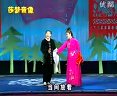 二人转杨八郎探母 - 关小平、小豆豆主演，精彩剧情不容错过！下载