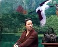 二人转老疙瘩当明星 高清在线观看 - 东北喜剧电影全集免费播放