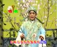评剧《人面桃花》 经典爱情故事，张德福、刘翠霞、李金顺主演，唯美剧情等你欣赏！下载
