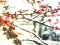 潮剧烟花女与状元郎