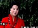 潮剧《王昭君》- 王少瑜主演,感受昭君和亲传奇,领略潮剧魅力! 潮剧《王昭君》- 王少瑜主演,感受昭君和亲传奇,领略潮剧魅力!
