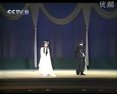 秦腔经典剧目《秦腔杀嫂》，演员阵容强大，剧情扣人心弦，不容错过！下载